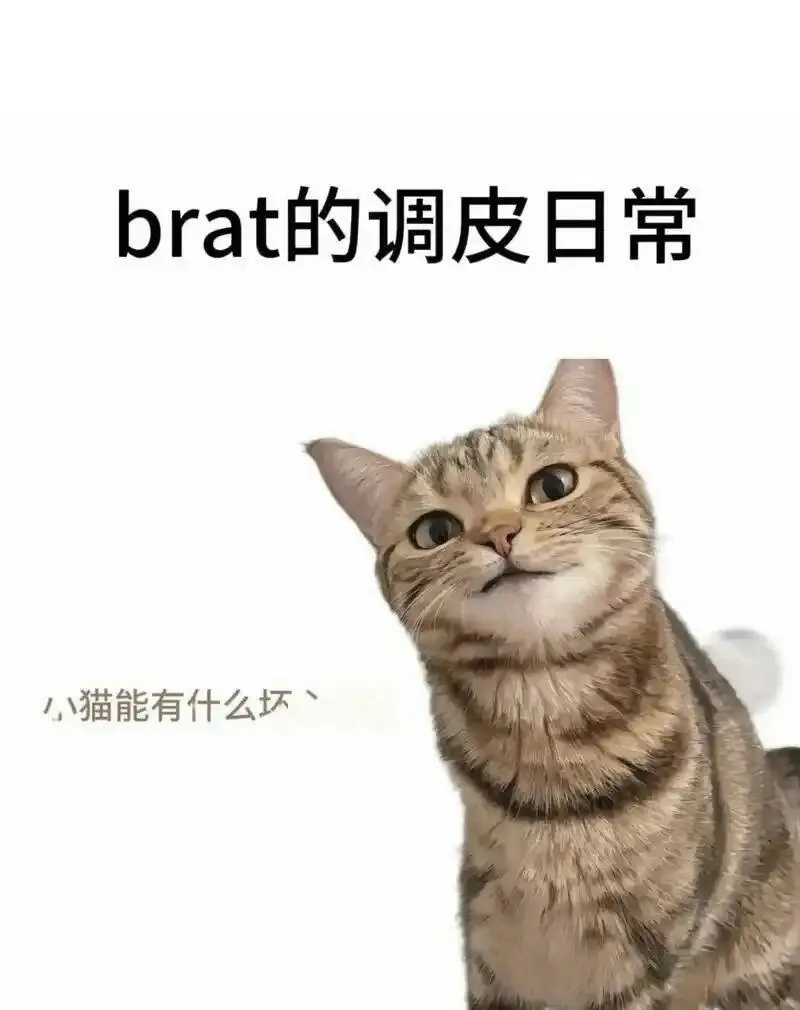 西檬之家-BDSM入圈指南：新人必知的核心术语与实践原则