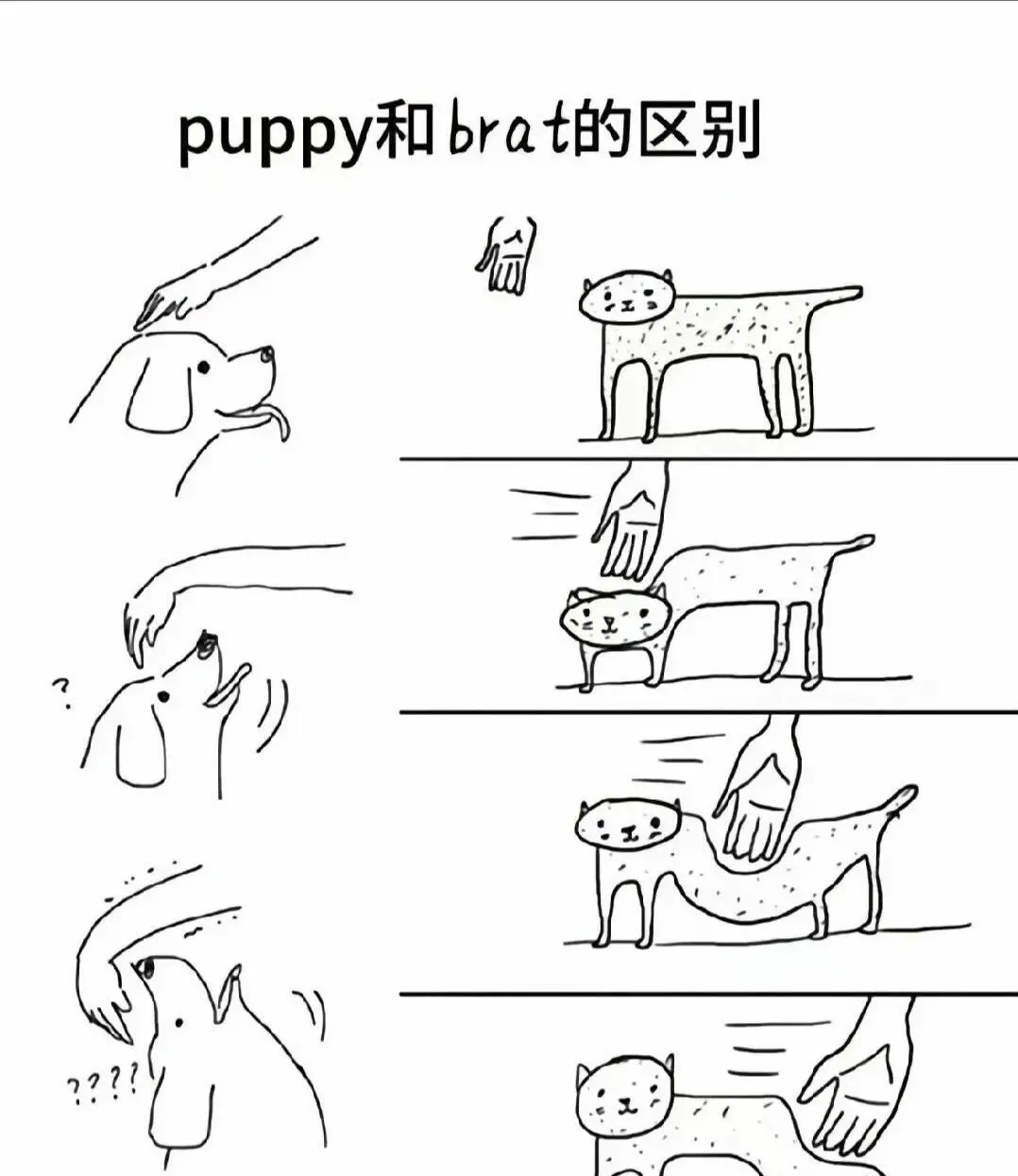西檬之家-字母圈新人必备指南：斯慕圈术语解析