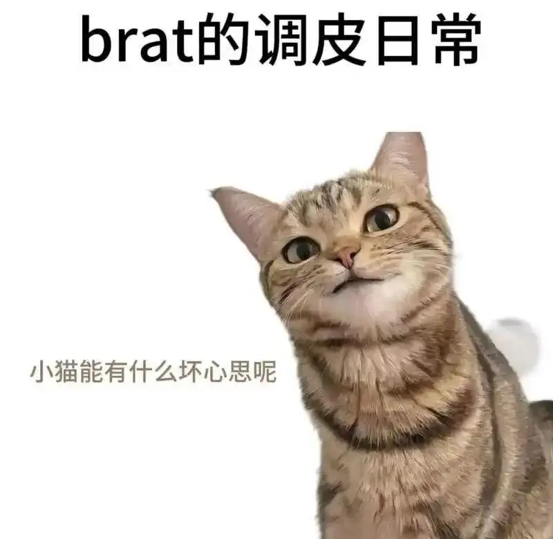 西檬之家-字母圈入门指南：从基础术语到安全实践