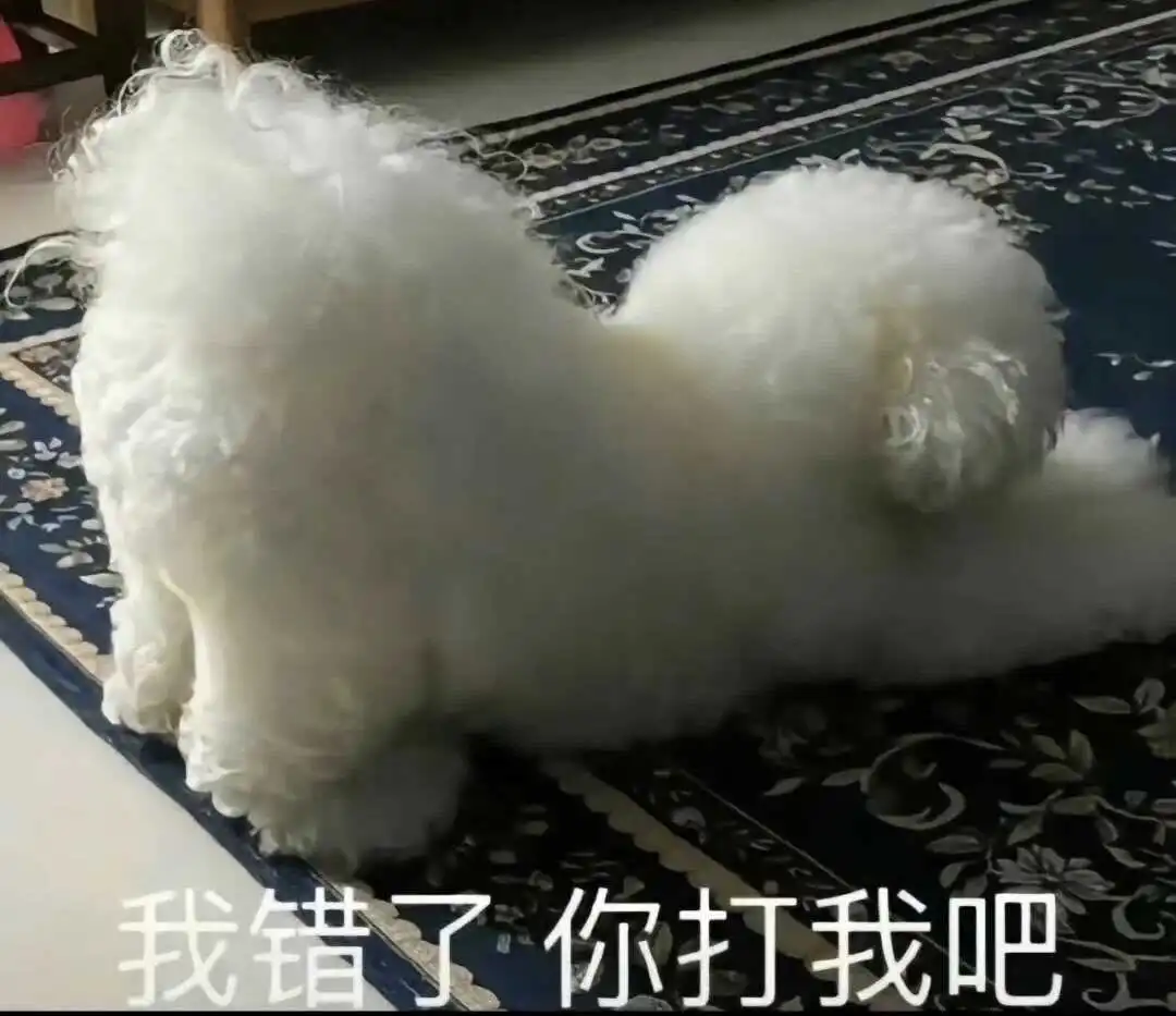 女王在字母圈中的定义与实践