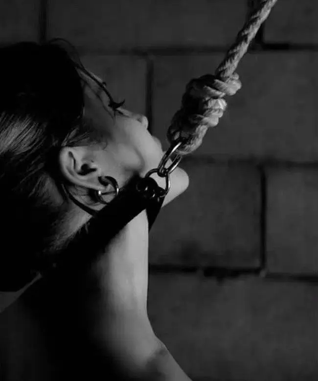 BDSM入圈 - 微信图片_20251203212920_111_19