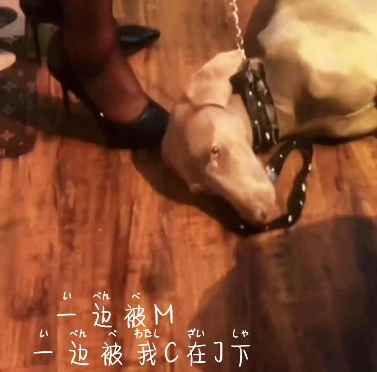 SM亚文化 - 2023_11_07_20_50_IMG_8911