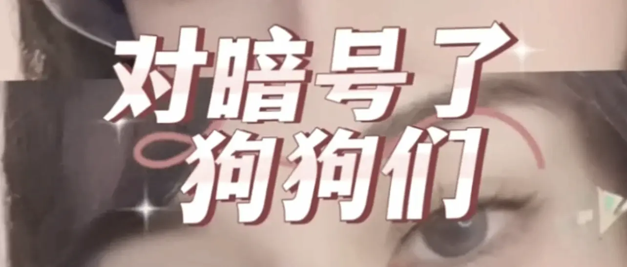 【西檬之家】K8猫系解析：字母圈宠物扮演中的傲娇与掌控